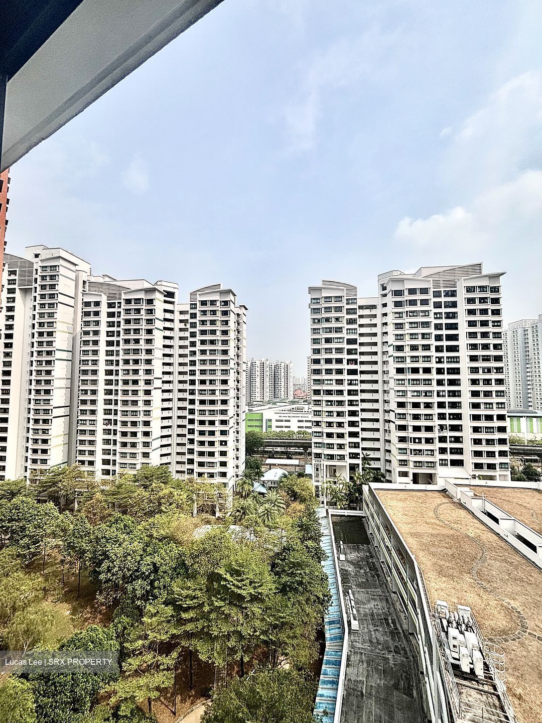 Blk 438B Fernvale Court (Sengkang), HDB 3 Rooms #616538271
